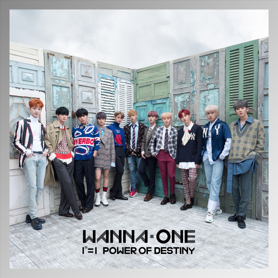 1¹¹=1: Power of Destiny cover art