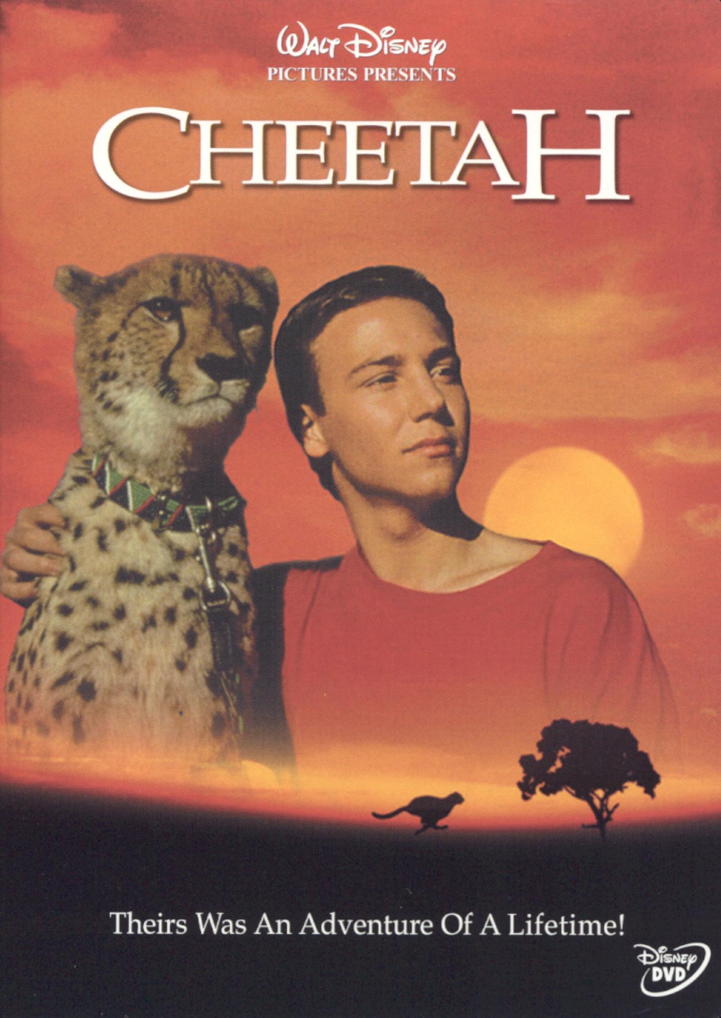 Cheetah cover art