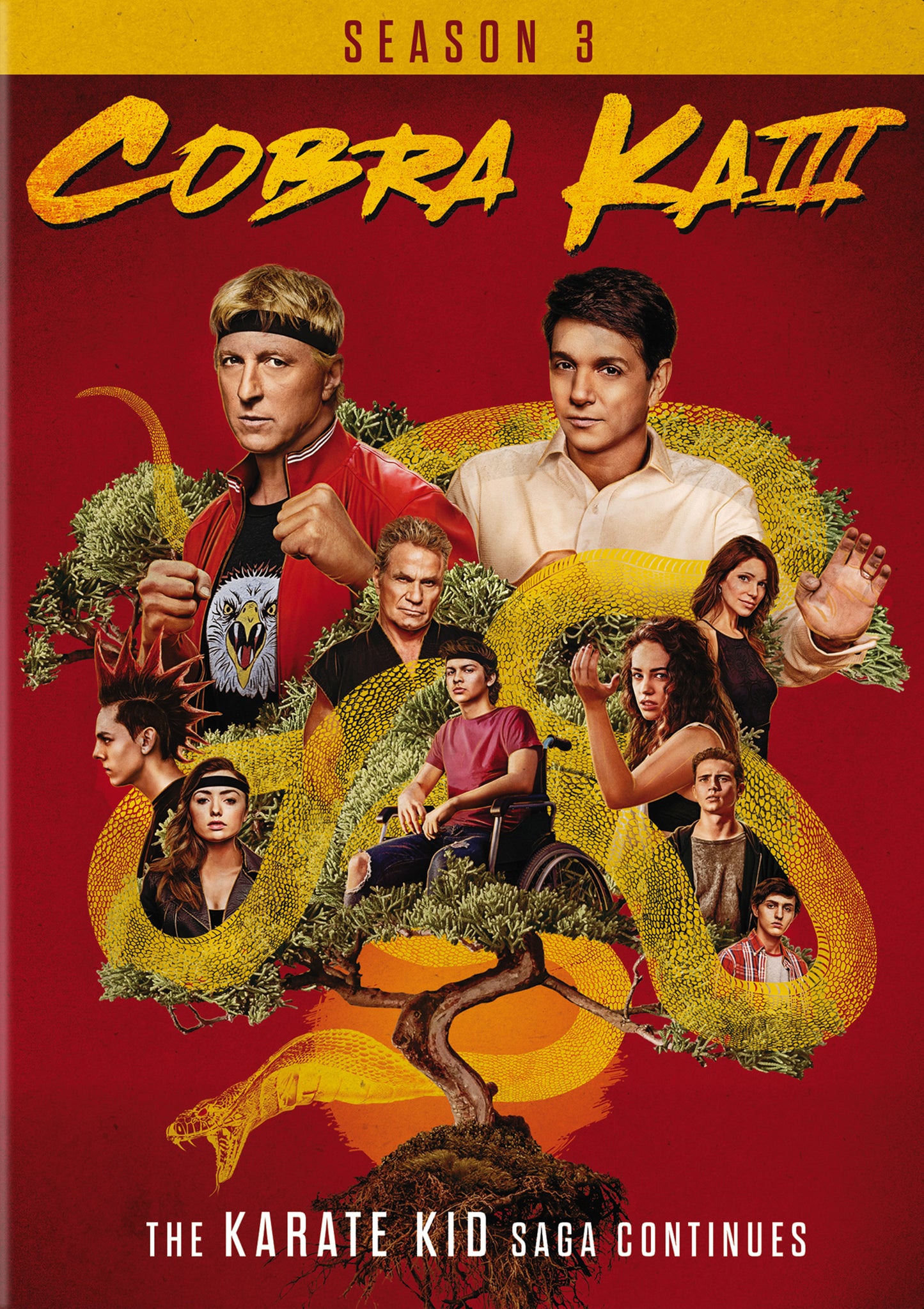 Cobra Kai - Season 3 (2 Disc) - DVD cover art