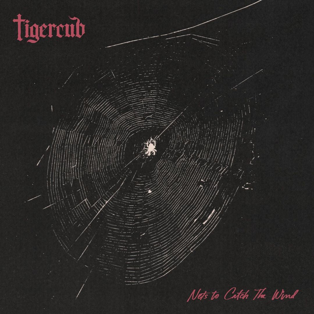 Nets to Catch the Wind cover art