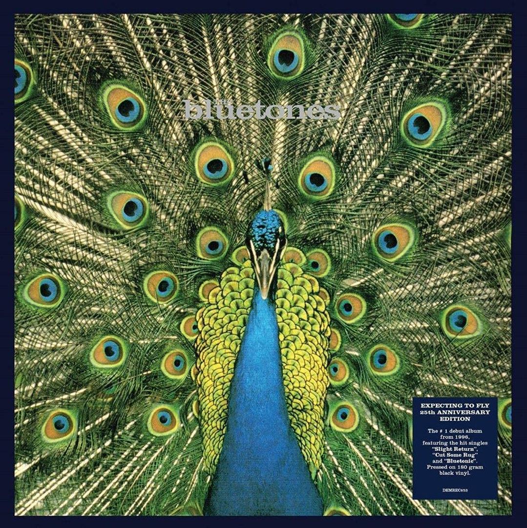 Expecting to Fly cover art