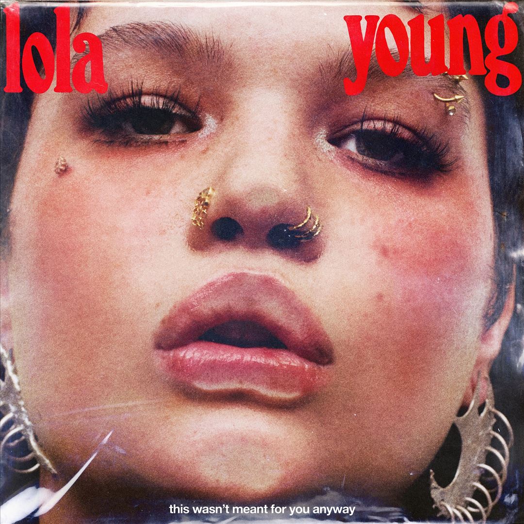 This Wasn't Meant for You Anyway cover art