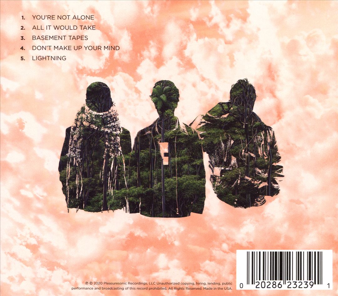 You're Not Alone cover art