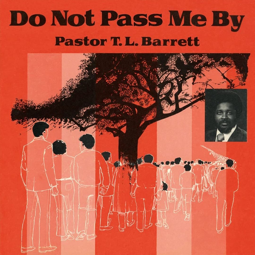 Do Not Pass Me By cover art