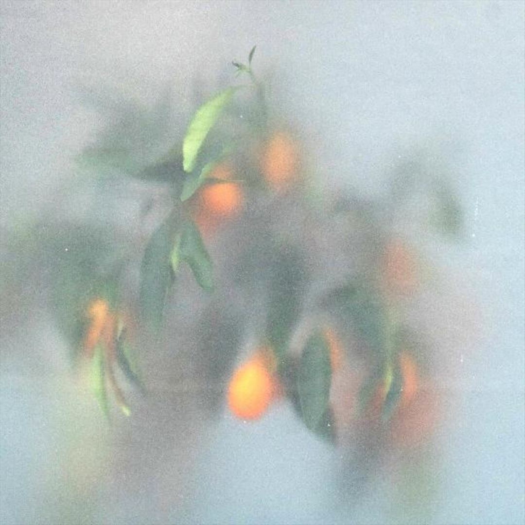 Secret Garden cover art
