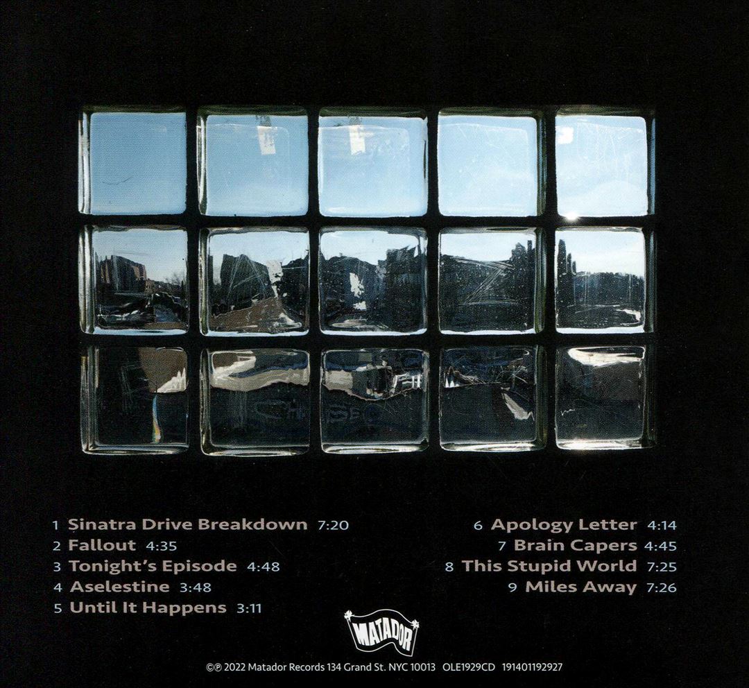 This Stupid World cover art