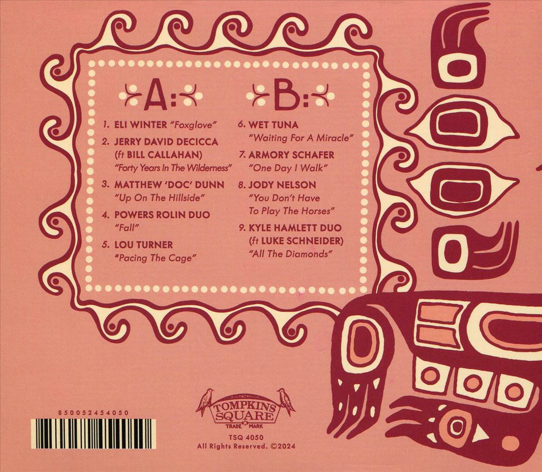 Imaginational Anthem vol. XIII: Songs of Bruce Cockburn cover art
