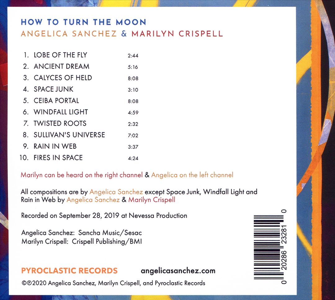How to Turn the Moon cover art