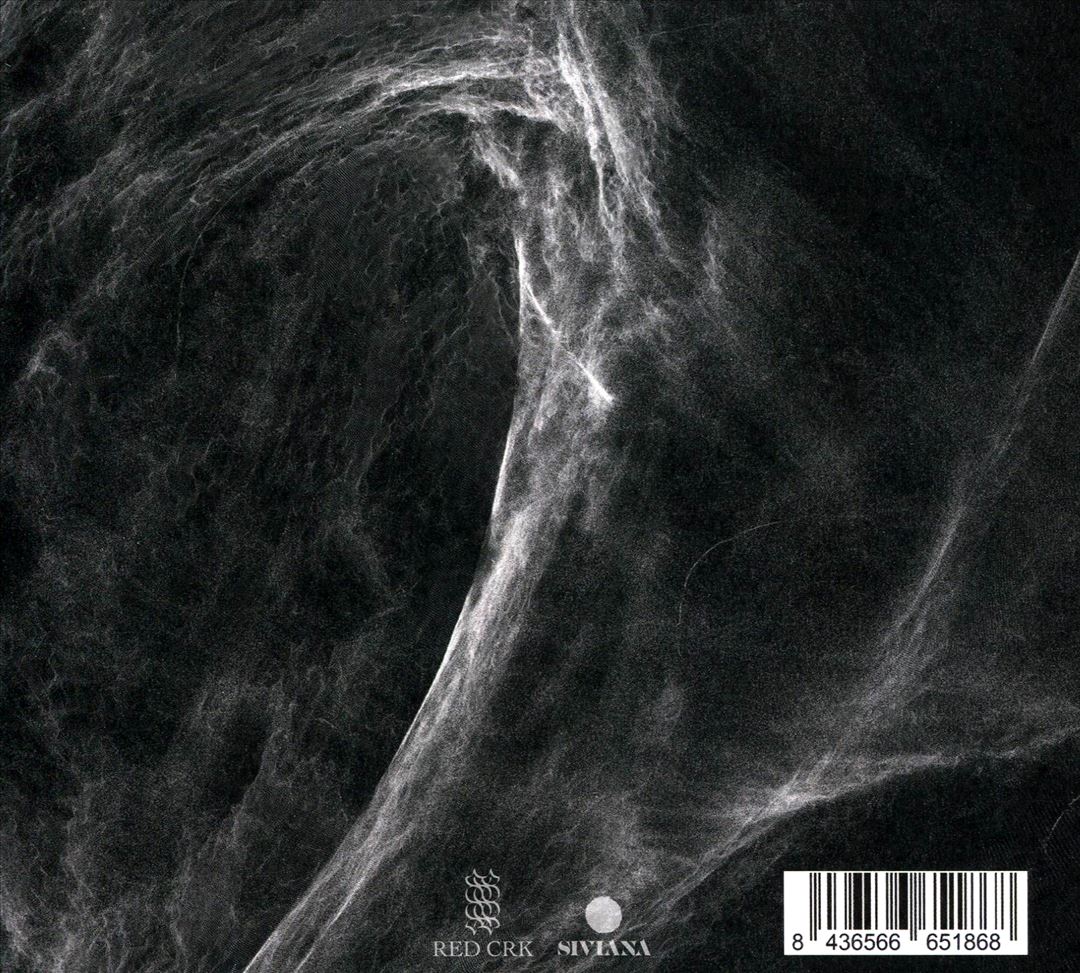Final Light cover art