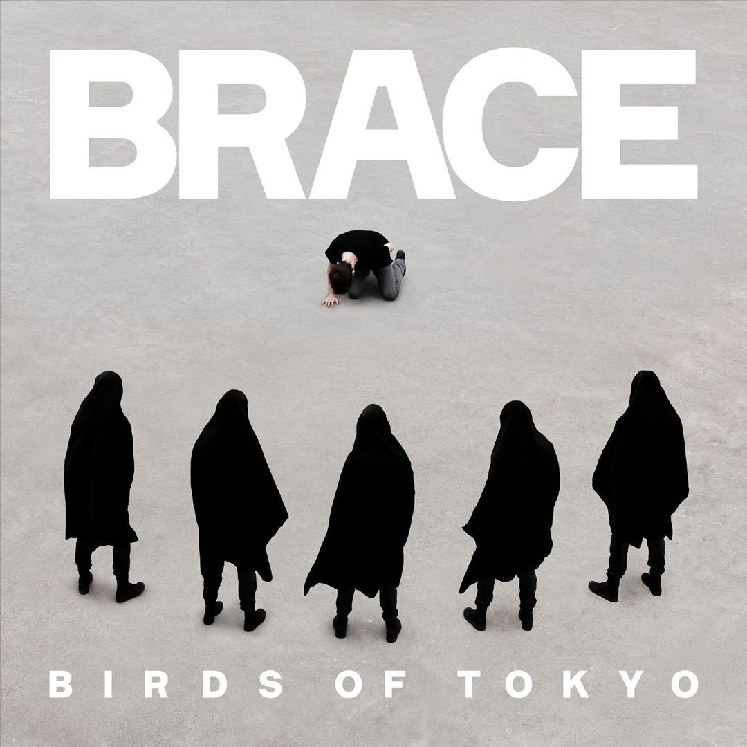 Brace cover art