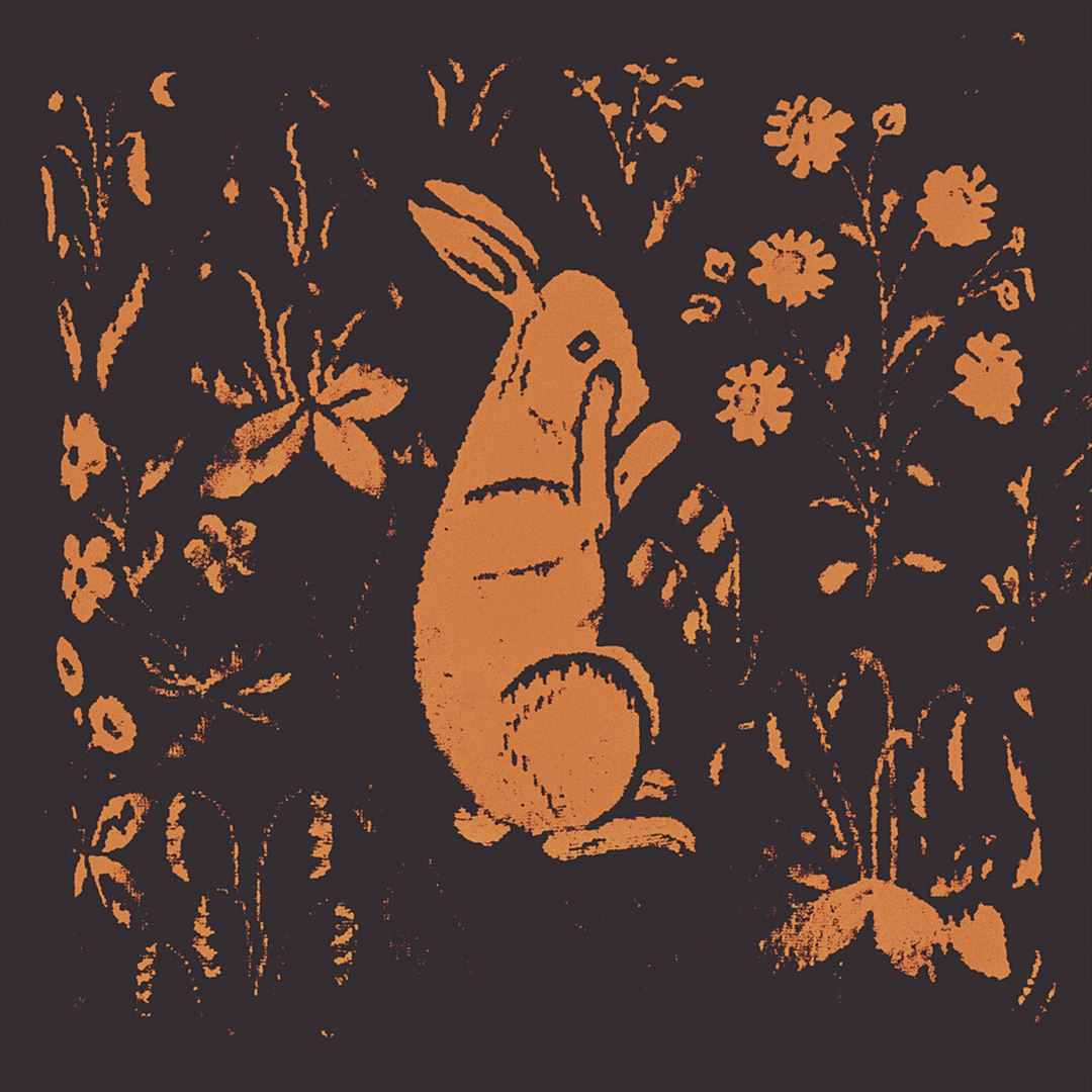 Rabbit Album cover art