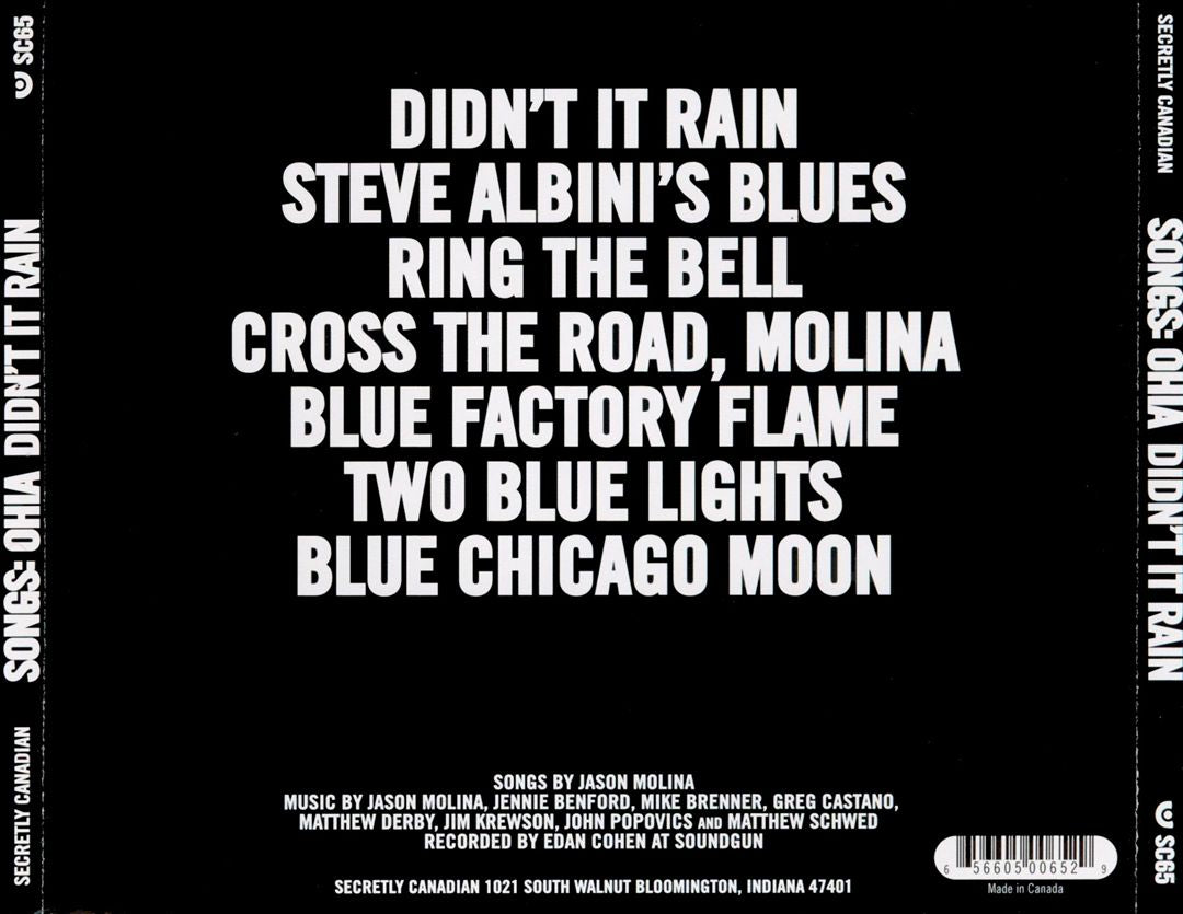 Didn't It Rain cover art