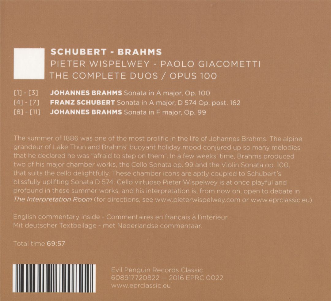 Schubert, Brahms: The Complete Duos - Opus 100 cover art