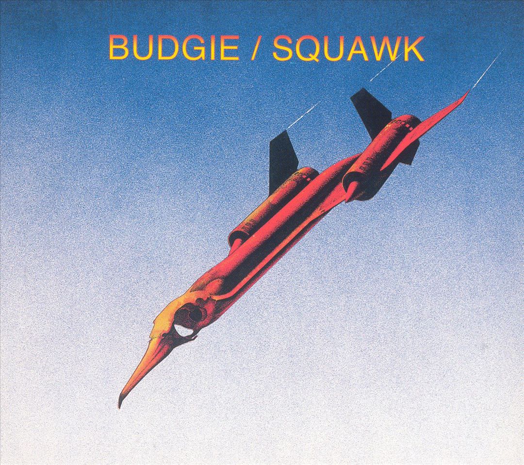 Squawk cover art