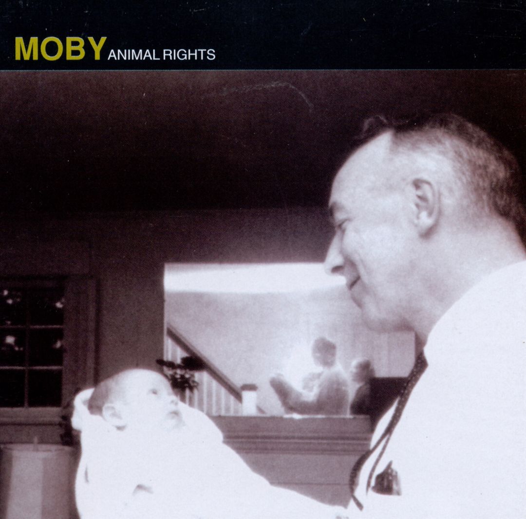 Animal Rights cover art