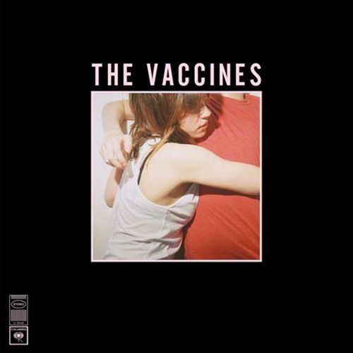 What Did You Expect from the Vaccines? cover art