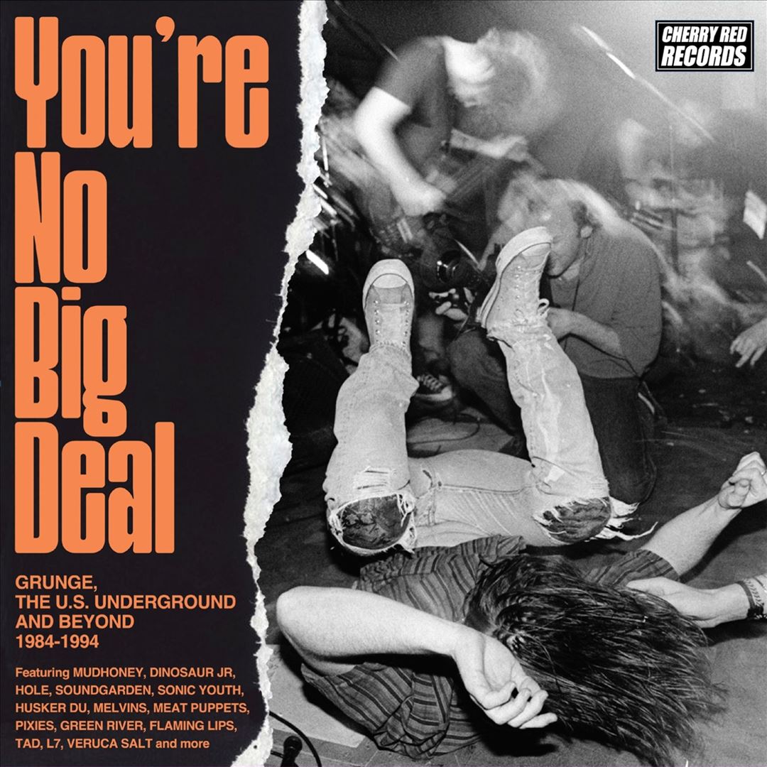 You’re No Big Deal: Grunge, the US Underground and Beyond 1984-1994 cover art