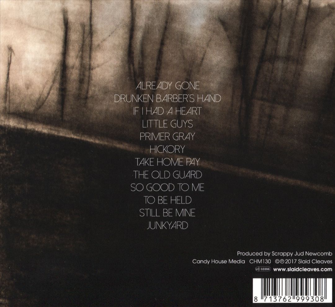 Ghost on the Car Radio cover art