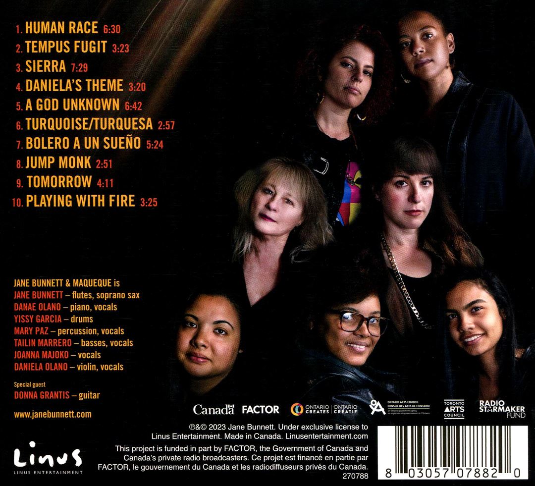 Playing With Fire cover art