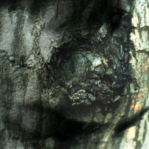 Valse des Monstres cover art