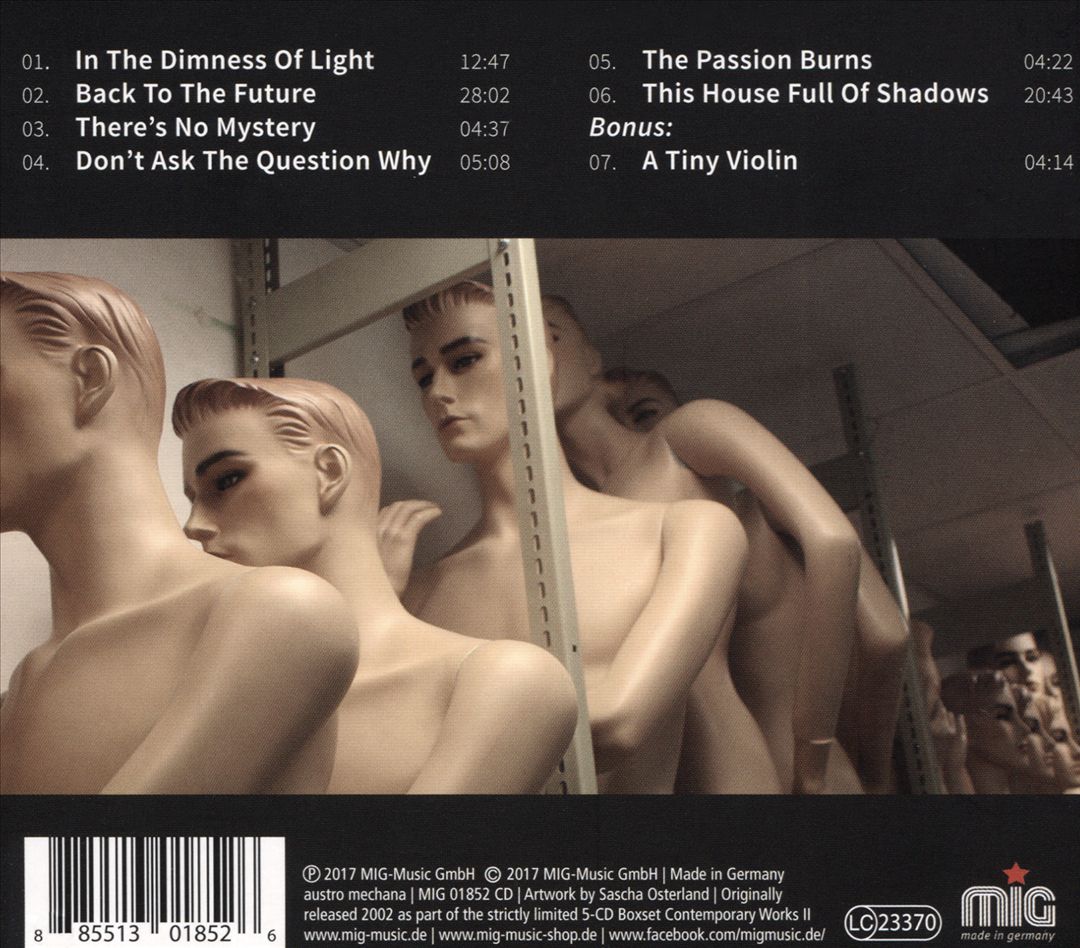 Androgyn cover art