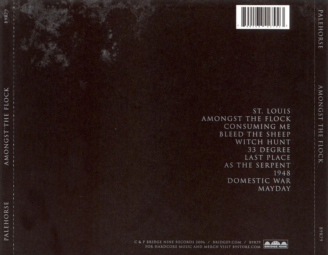 Amongst the Flock cover art