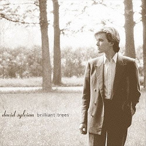 Brilliant Trees cover art
