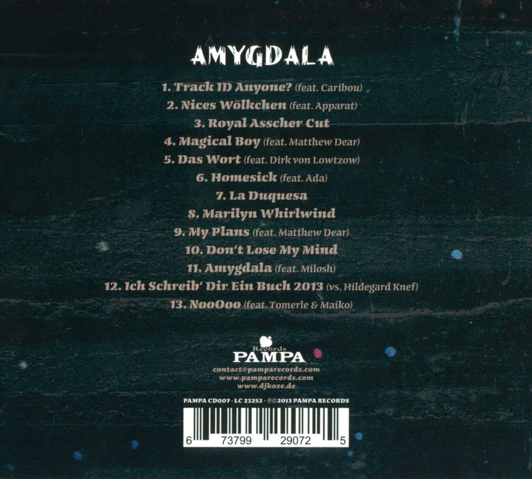 Amygdala cover art
