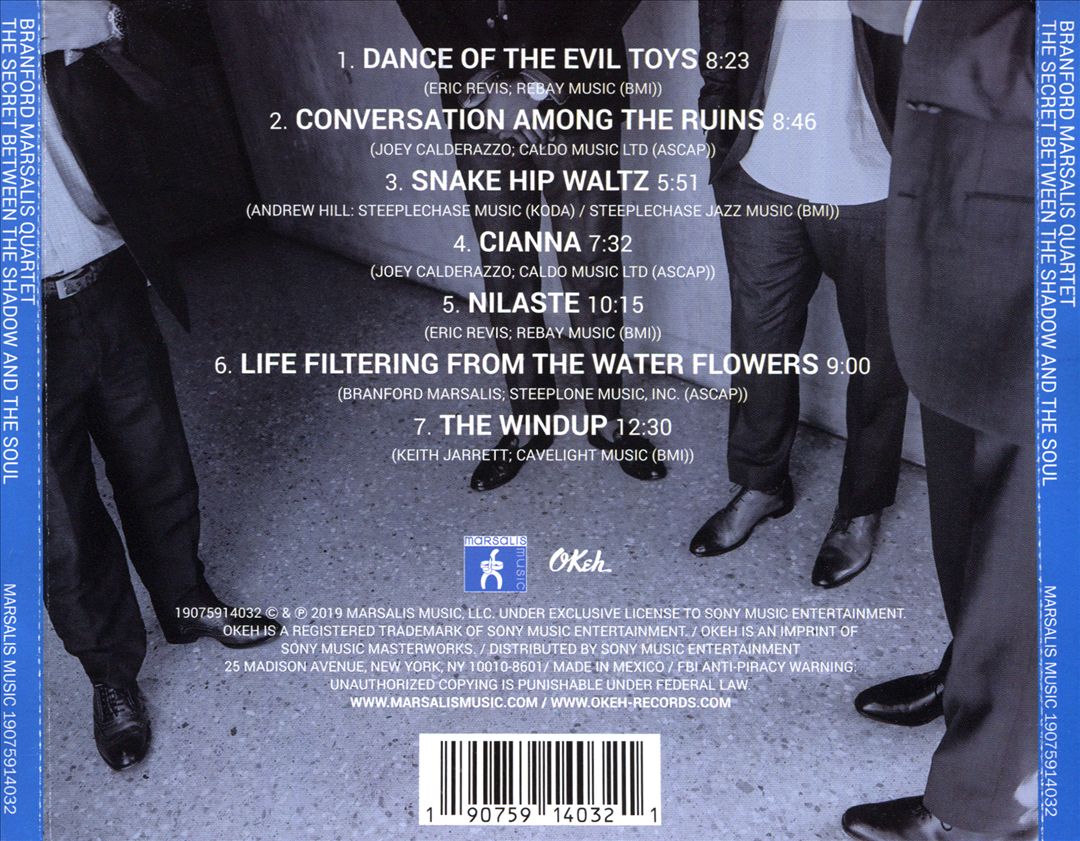 Secret Between the Shadow and the Soul cover art