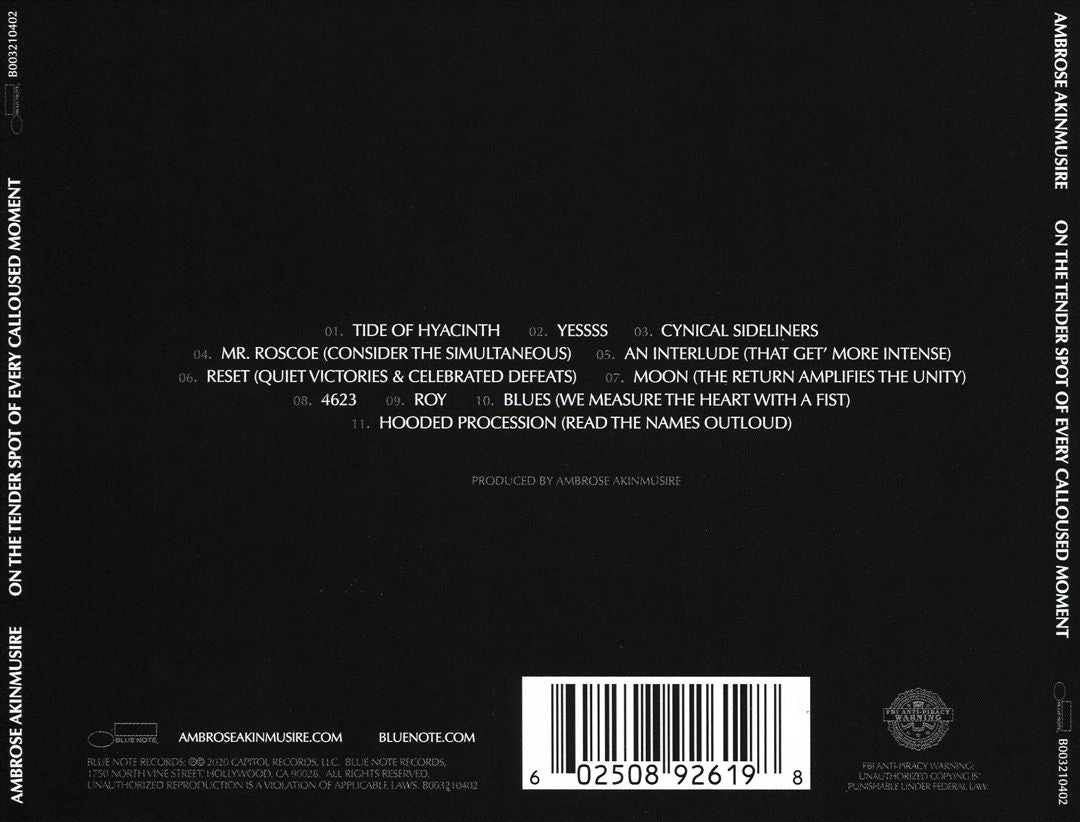 On the Tender Spot of Every Calloused Moment cover art