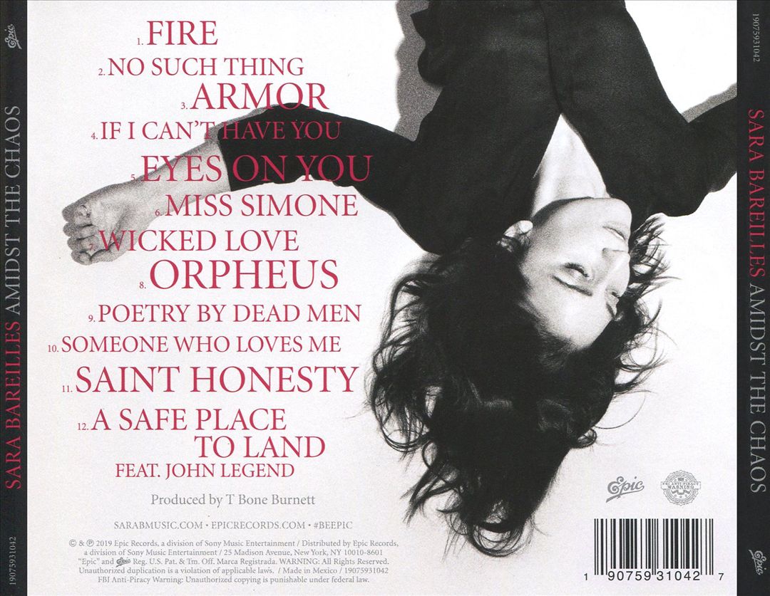 Amidst the Chaos cover art