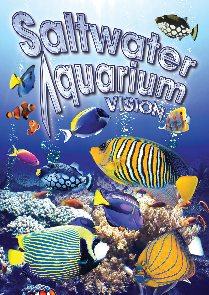 Saltwater Aquarium Vision cover art