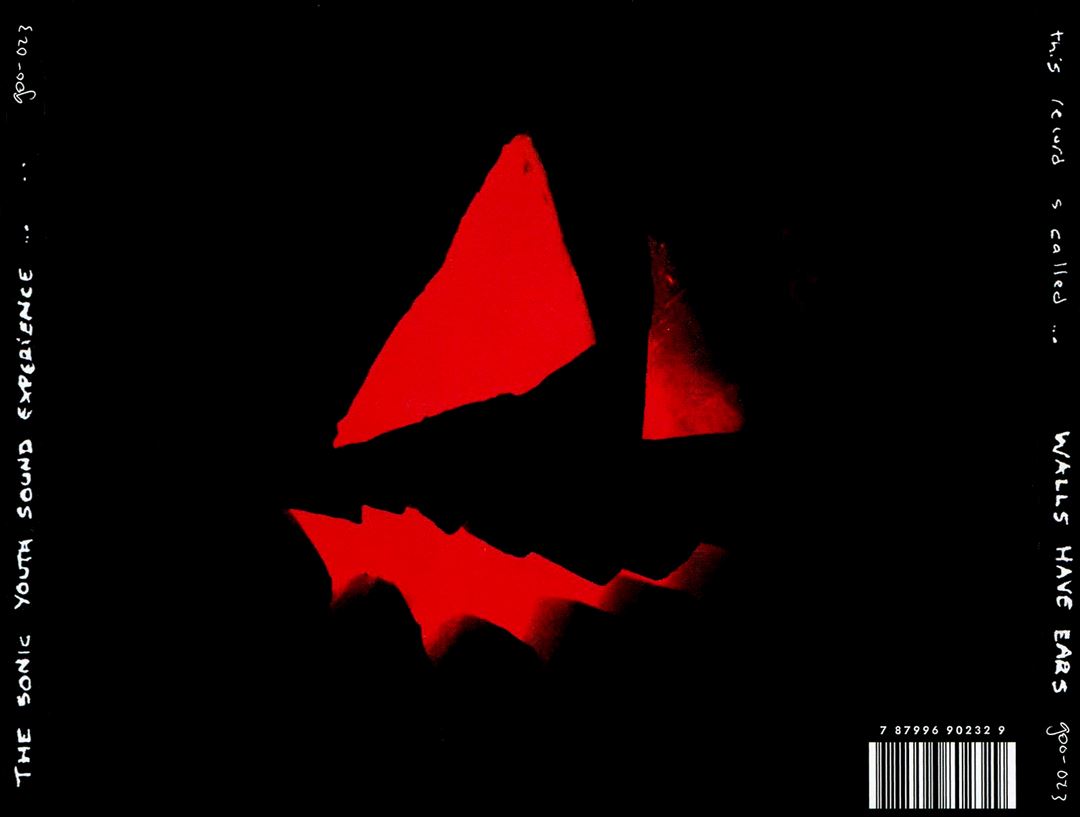 Walls Have Ears cover art