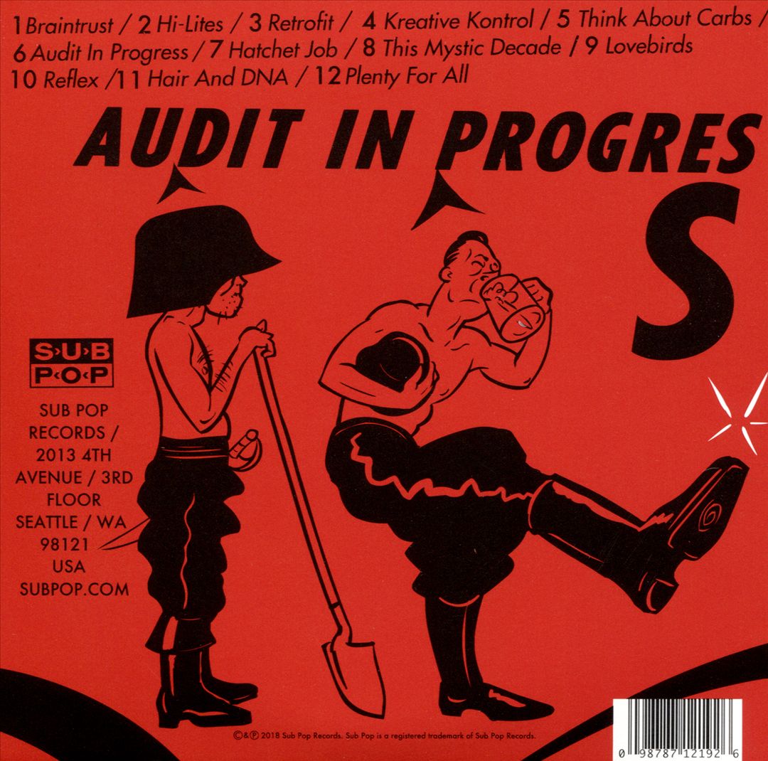 Audit in Progress cover art