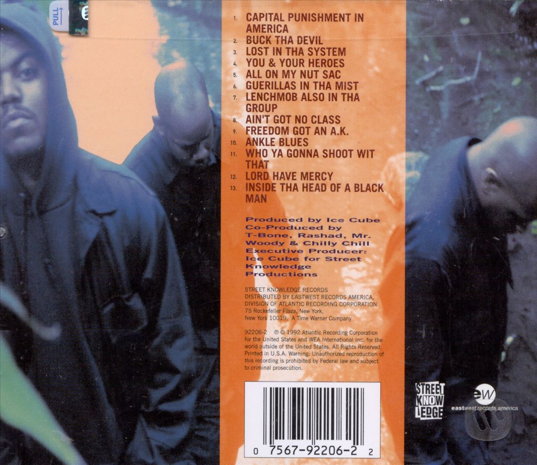 Guerillas in tha Mist cover art