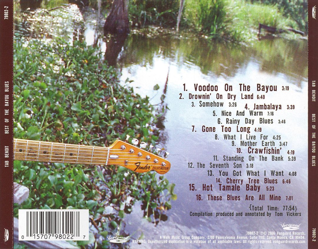 Best of the Bayou Blues cover art