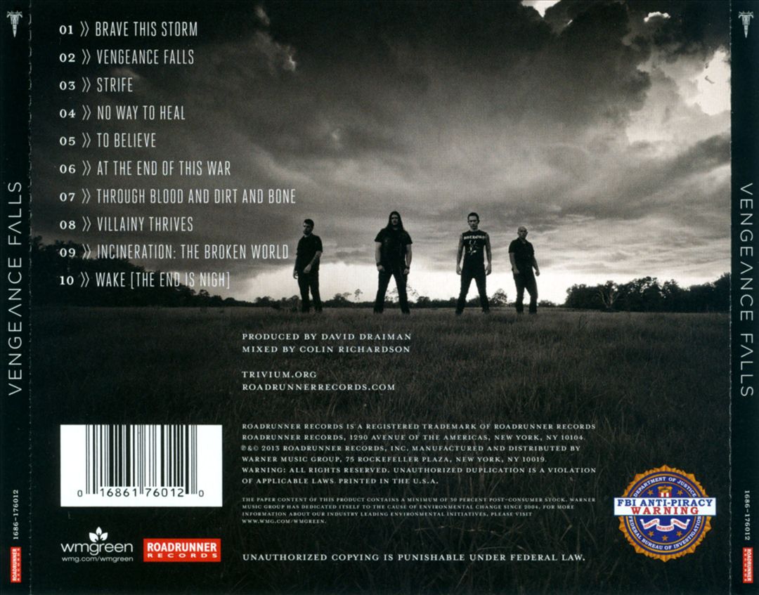Vengeance Falls cover art