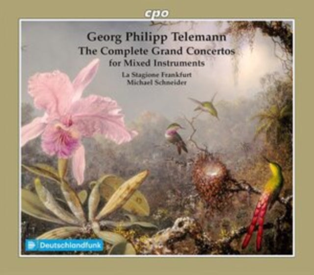 Telemann-Telemann:Grand Concertos cover art