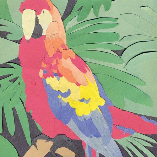 Parrot Flies cover art