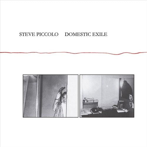Domestic Exile cover art