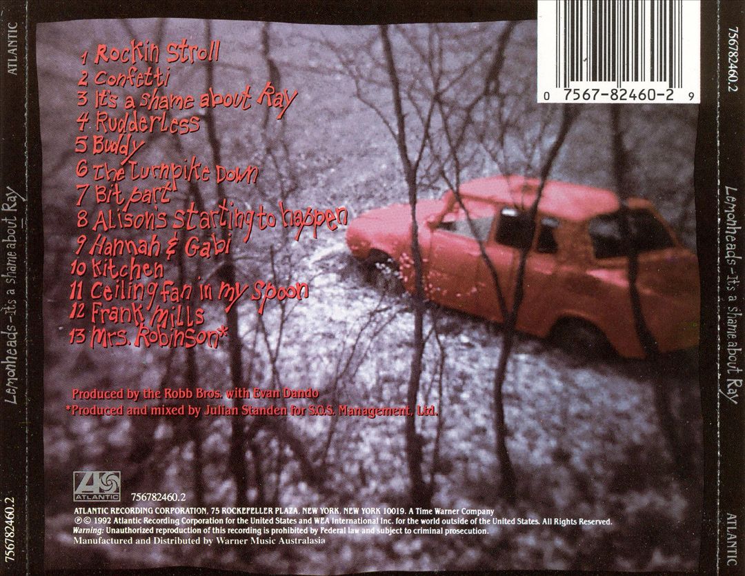 It's a Shame About Ray cover art