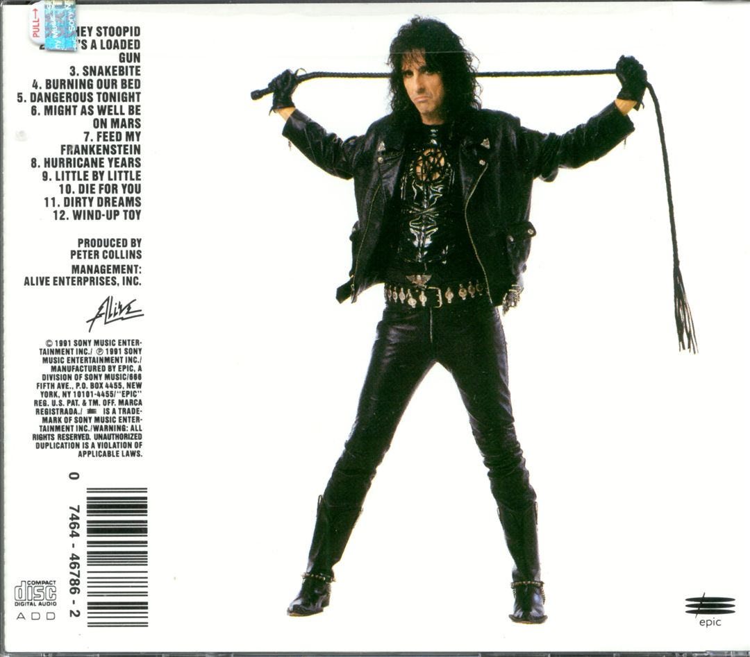 Hey Stoopid cover art