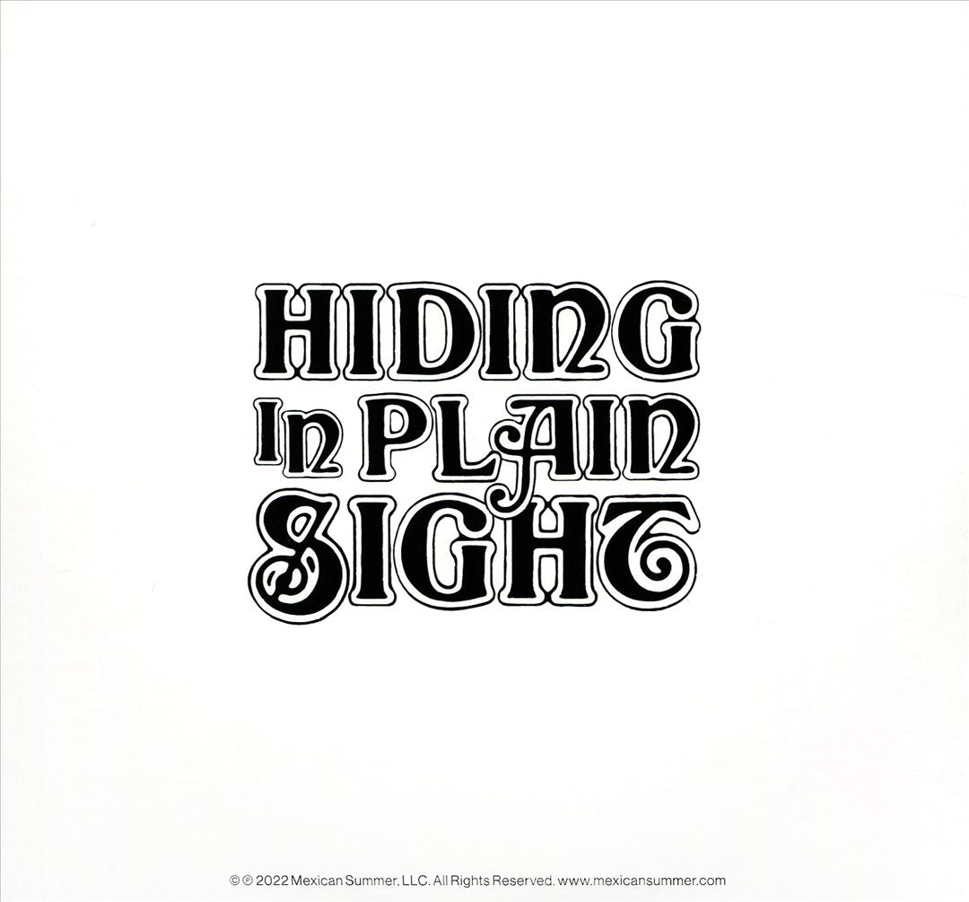 Hiding in Plain Sight cover art