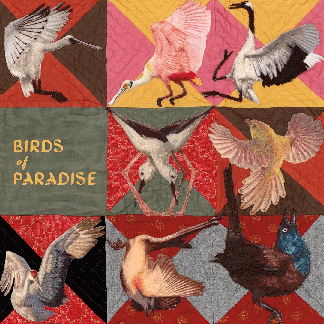 Birds of Paradise cover art