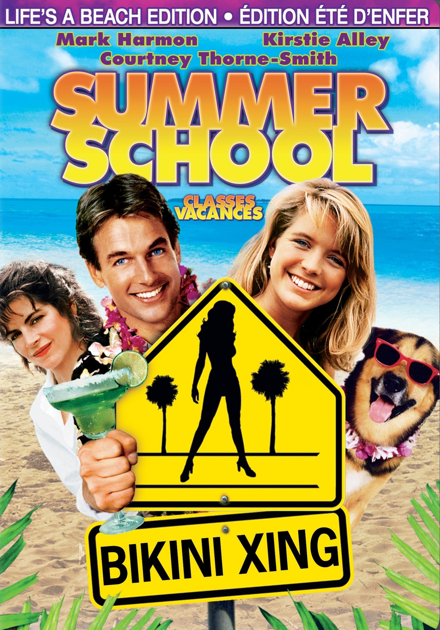 Summer School cover art