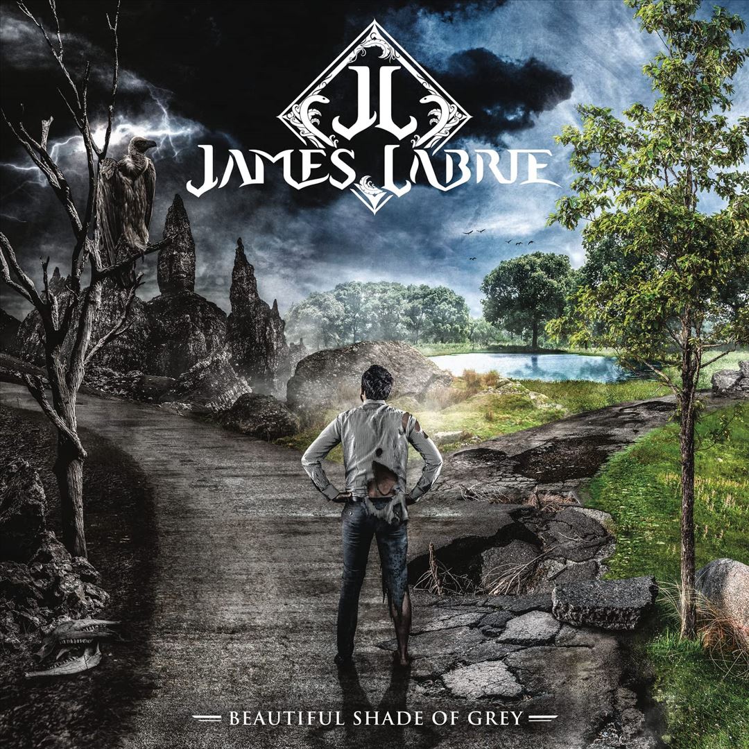 Beautiful Shade of Grey cover art