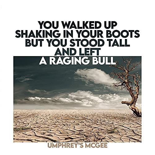 You Walked Up Shaking in Your Boots But You Stood Tall and Left a Raging Bull cover art