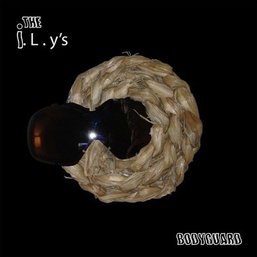 Bodyguard cover art
