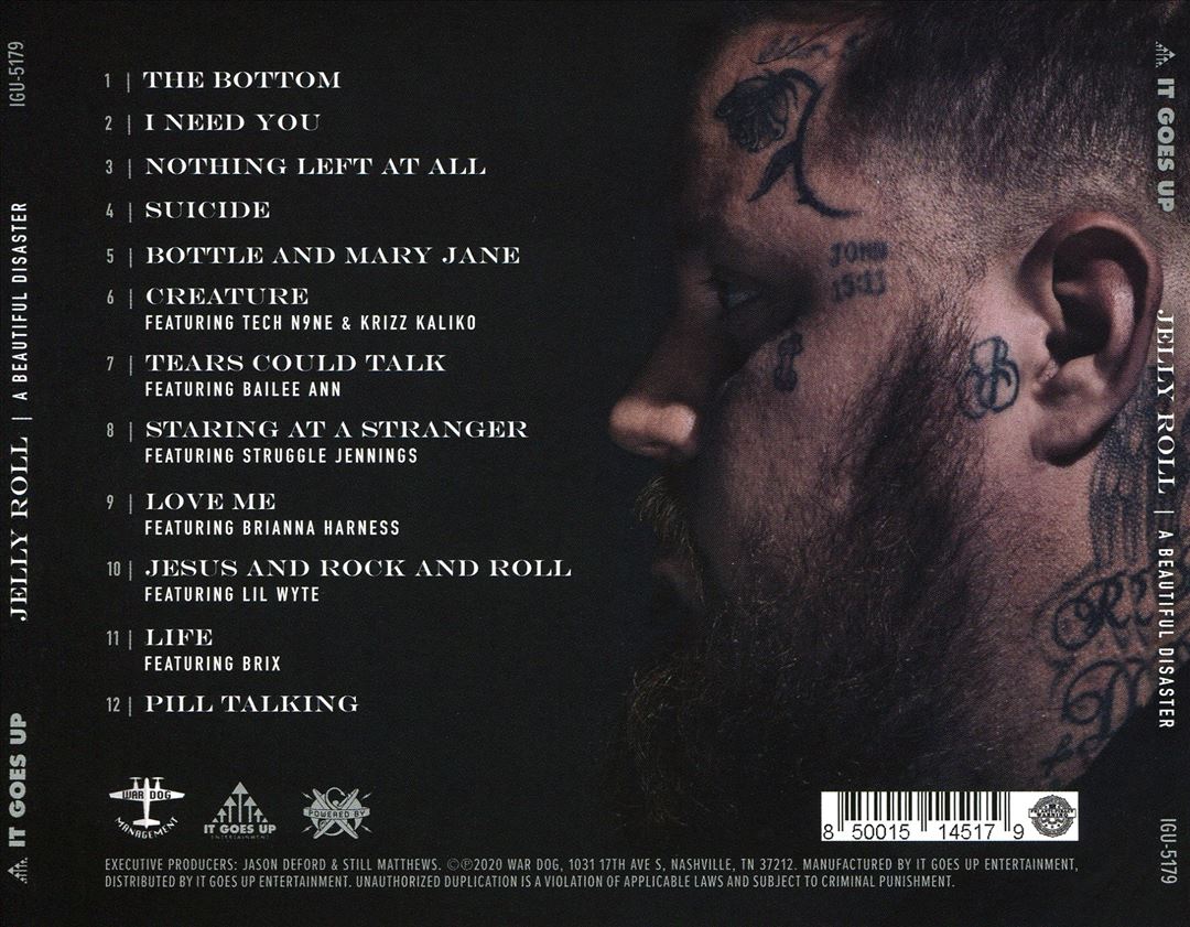 Beautiful Disaster cover art
