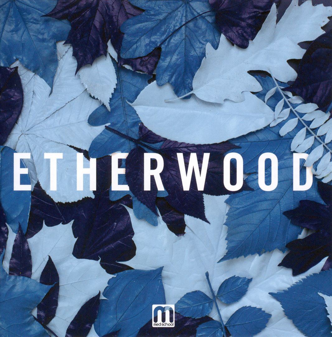Blue Leaves cover art